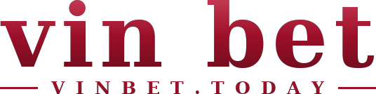 vin bet logo
